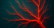 The 9 Best Supplements for Blood Flow, Nitric Oxide, and ED