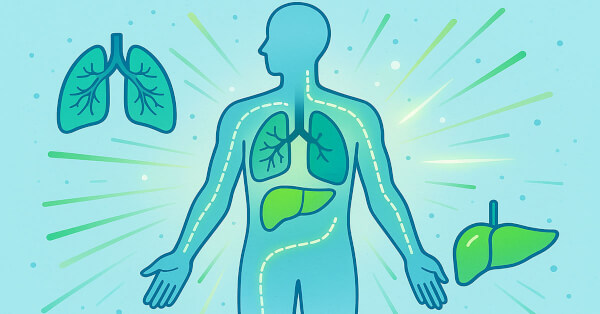 NAC (N-Acetyl Cysteine) Detox Benefits: A Powerhouse for Health and Longevity