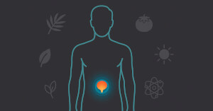Top 12 Supplements for Prostate Health